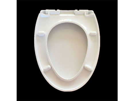 Plastic Toilet Seat Mold