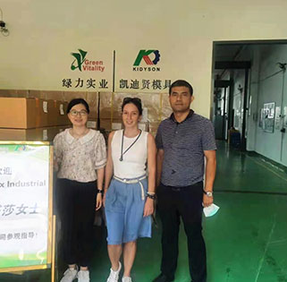 Customer Visit for Plastic Mold Solution